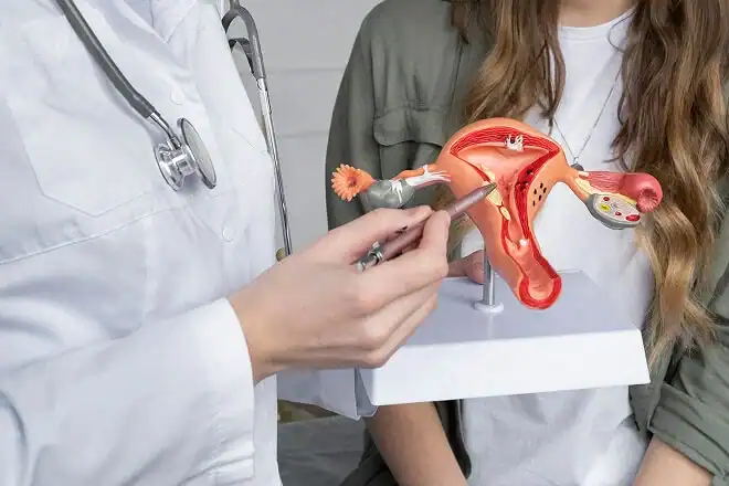 Консультация гинеколога-эндокринолога