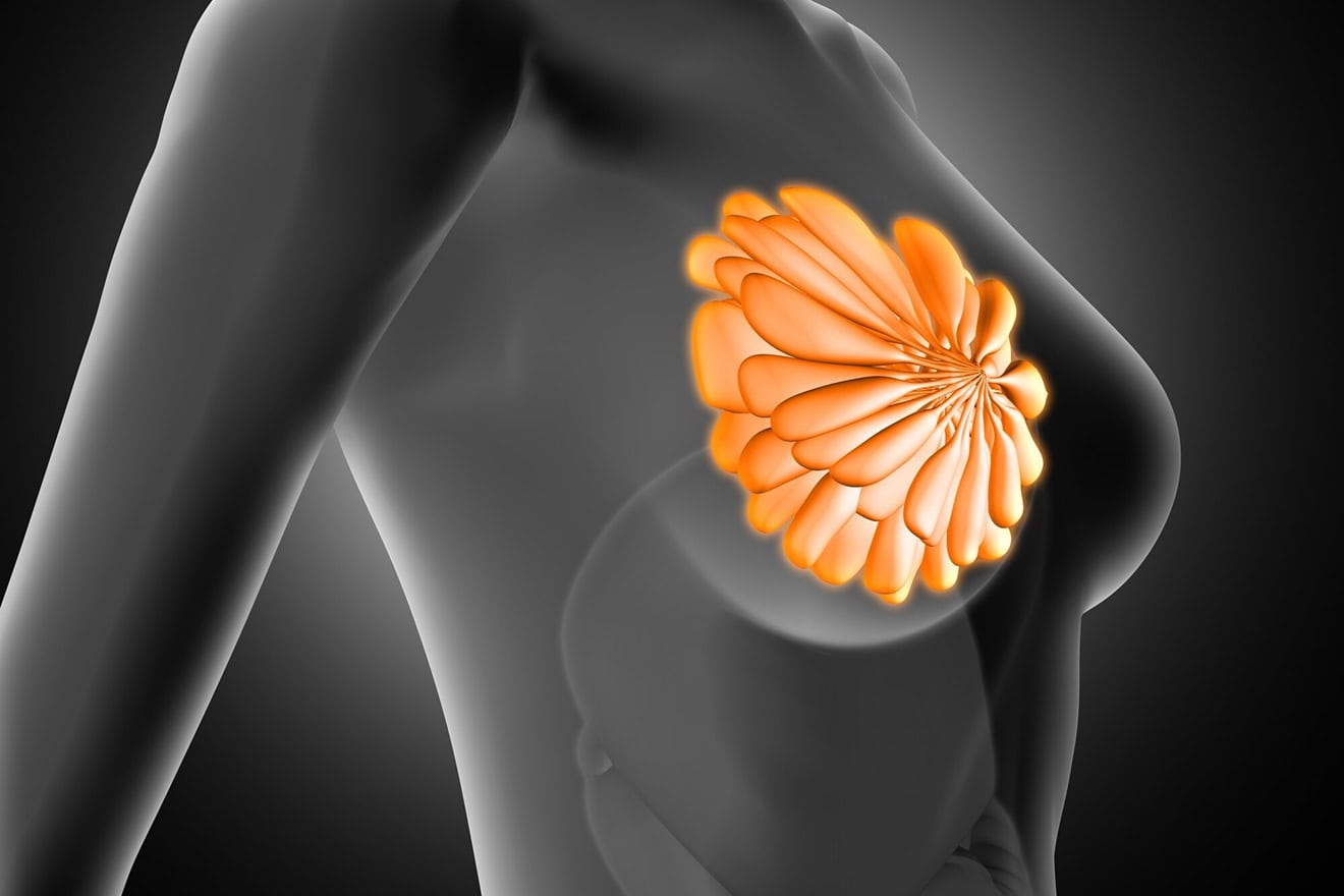 УЗИ молочных желез с региональными лимфоузлами