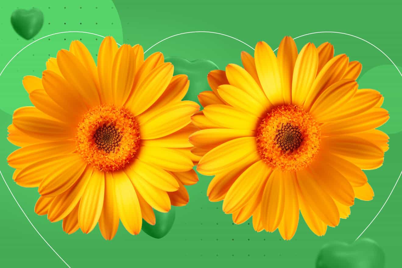 Маммологический чек-ап