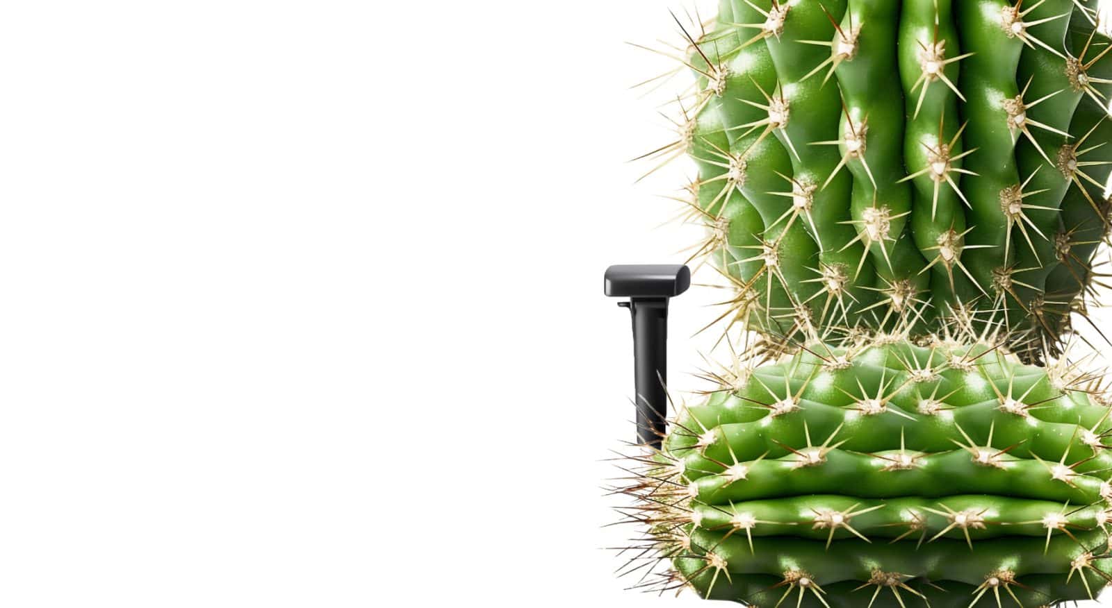 Проктология