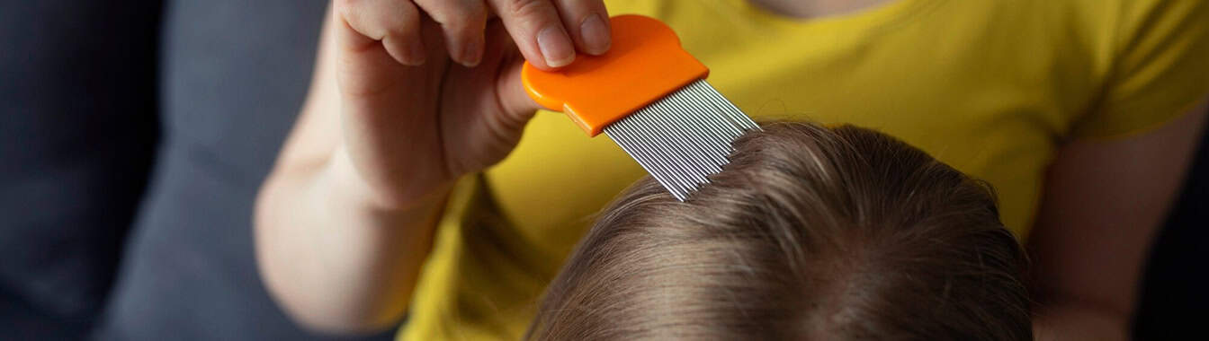 Педикулёз (вшивость)