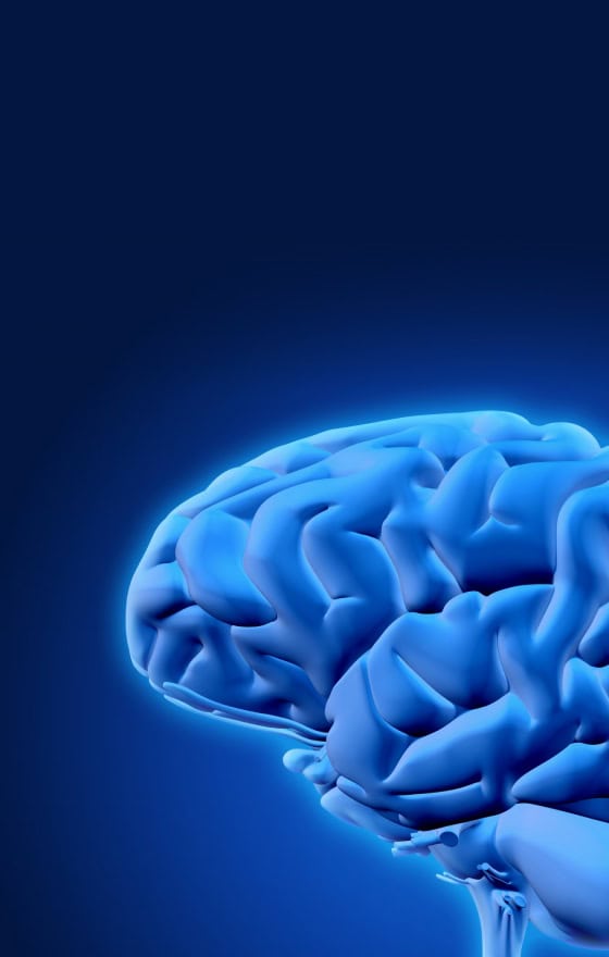 УЗД Головного мозга (нейросонография)