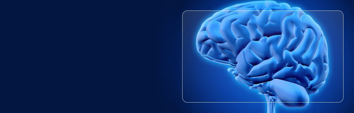 УЗД Головного мозга (нейросонография)