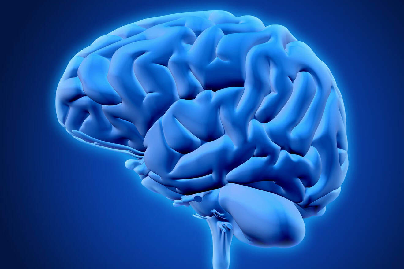 УЗД Головного мозга (нейросонография)