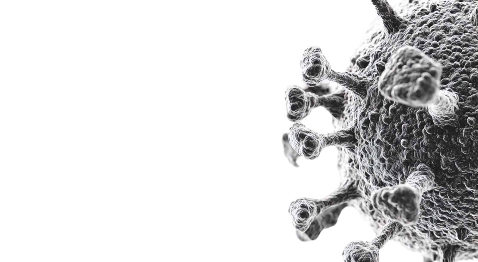 Инфектология