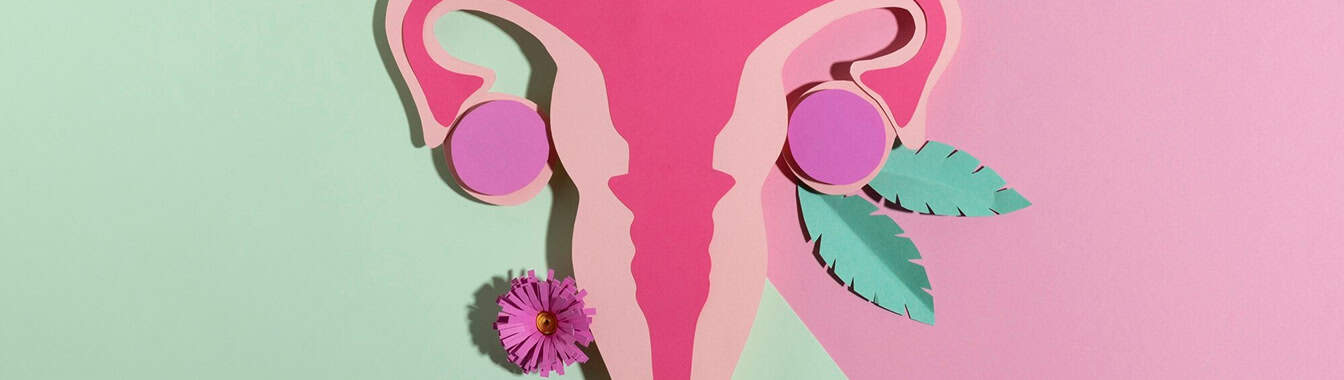 Аномалии развития матки и влагалища