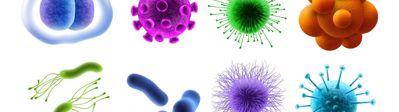 Влагалищные инфекции (кандидоз, бактериальный вагиноз)